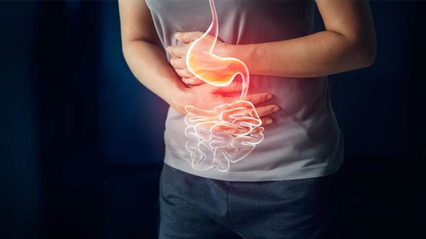 Gut Heart Connection