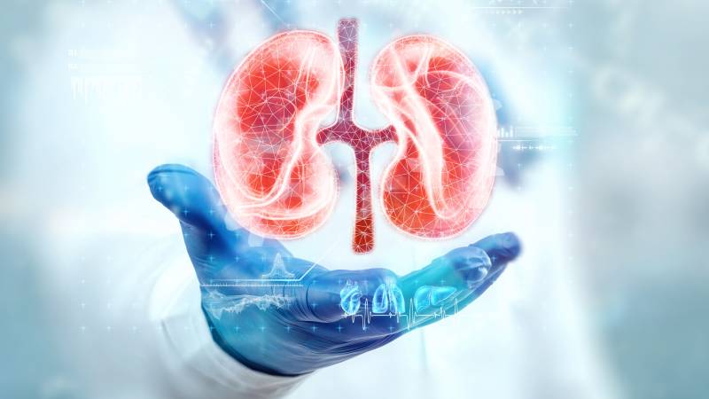 kidney disease